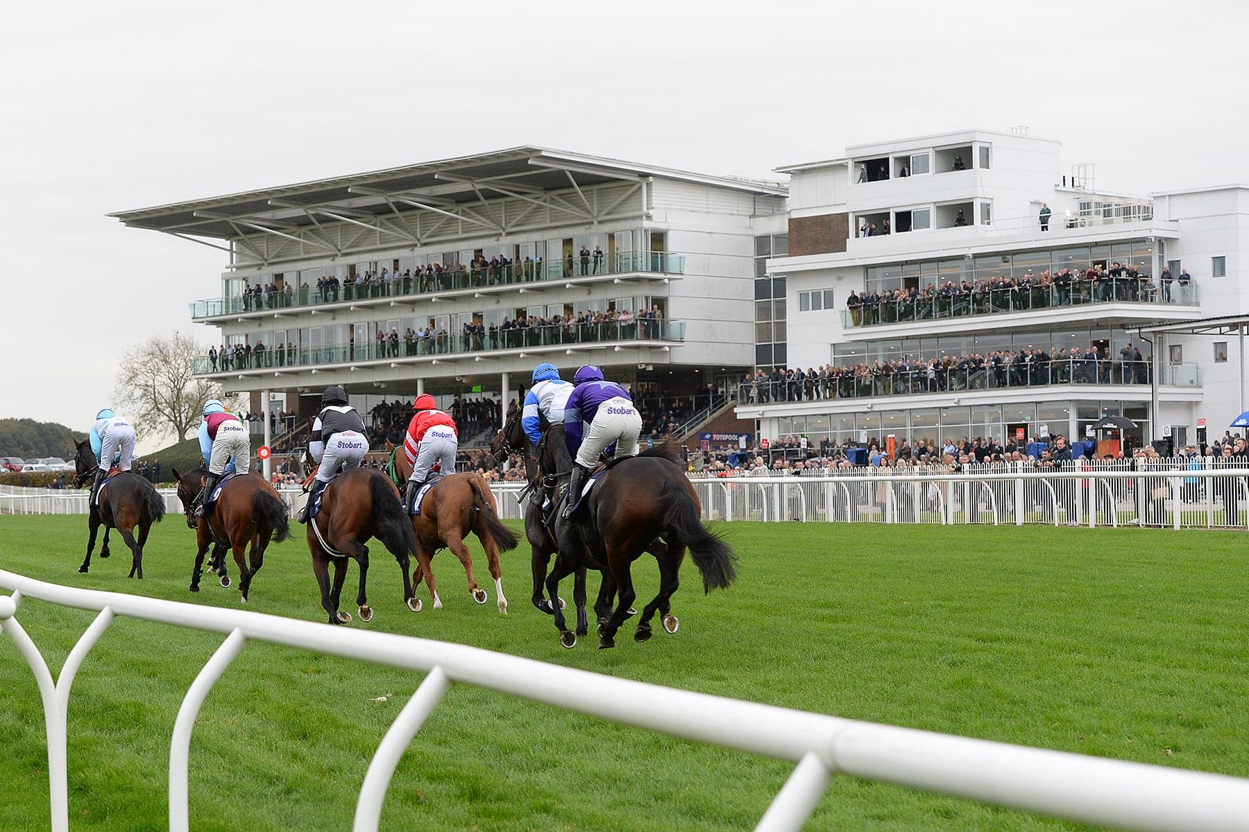 Event image for Family Day featuring the Mascot Gold Cup