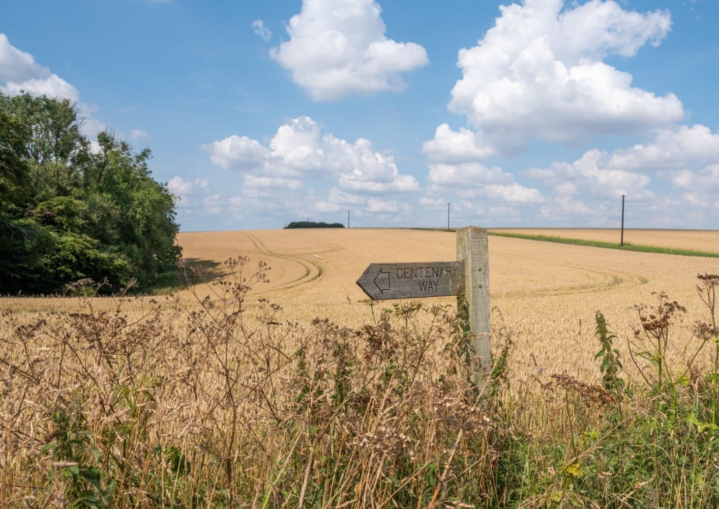 Walk: The Centenary Way