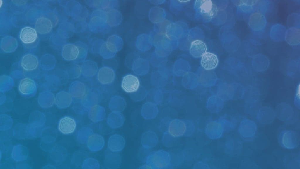 Event image for Huddersfield Town v Reading