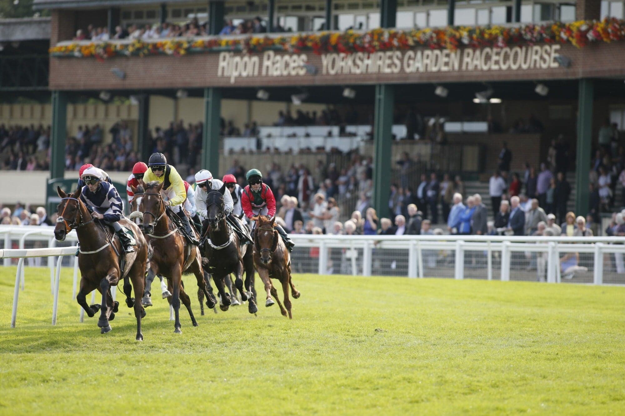 Event image for Season Opener