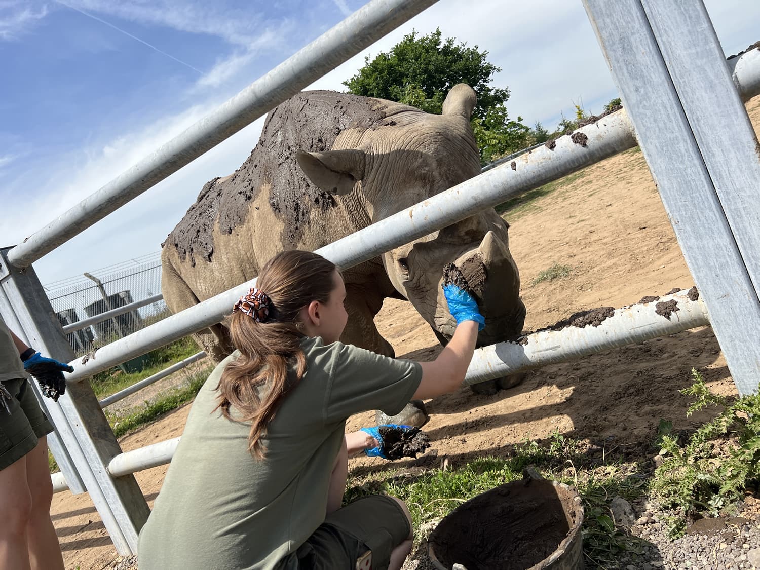 Sunblock like a Yorkshire Rhinoceros